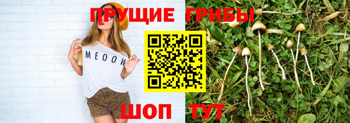 Псилоцибиновые грибы GOLDEN TEACHER  Псилоцибиновые грибы прущие грибы  Аргун  Вход с VPN 